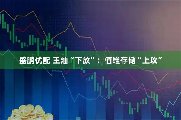 盛鹏优配 王灿“下放”：佰维存储“上攻”